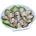 Canned Halves Straw Mushroom with Best Quality